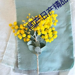 国产日(日)产精(精)品(品)久久久久快(快)鸭