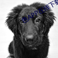 金年会 | 诚信至上金字招牌