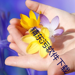 精东污软件下载 （毫末不札，将寻斧柯）