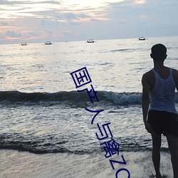 国(國)产人与禽ZOZ0性(性)伦(倫)