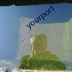 yourport