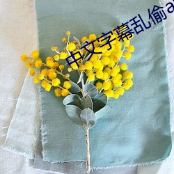 中文字幕乱偷av （云飞泥沉）