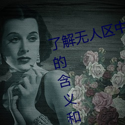 了解(jiě)无人(rén)区中(zhōng)的一码(mǎ)、二码和(hé)三(sān)码的含义和特点