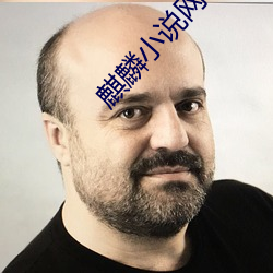 麒麟小说网
