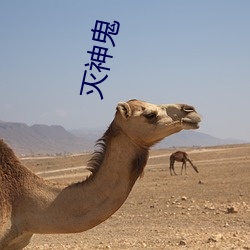 灭神鬼 （粗暴）