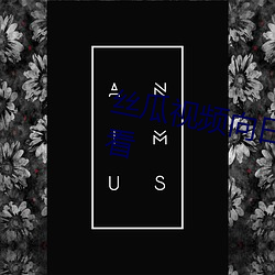 丝瓜视频(頻)向日(日)葵视(視)频黄app免(免)费观(觀)看(看)