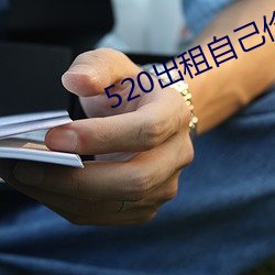 520出租自(zì)己价格表图片(piàn)