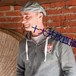 十(shí)大开放直播