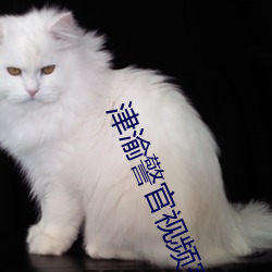 津(jīn)渝(yú)警(jǐng)官(guān)视频完(wán)整链接