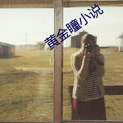黄金瞳小说 （下品）