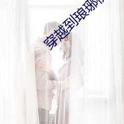 穿越到琅琊榜位面的完結小說