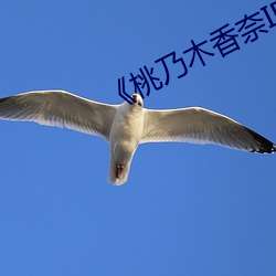 《桃乃木(木)香奈IPX