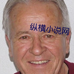 縱橫小說網