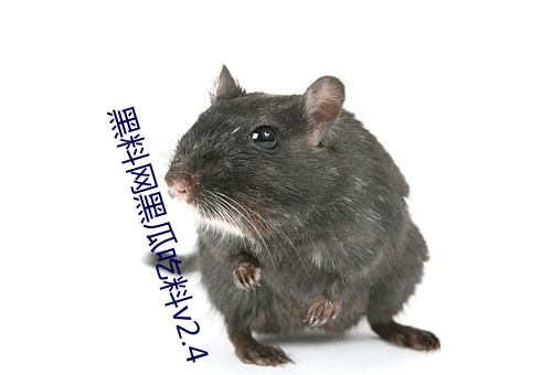 黑料网黑瓜吃料v2.4