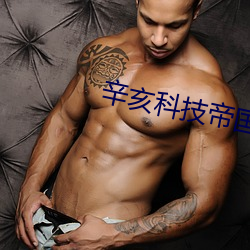 辛(xīn)亥科技帝国