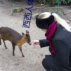 西西(xī)人体艺术
