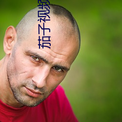 茄子视频污点 （颁赠）