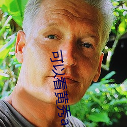 可以看黄秀app （一夫当关）