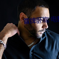冒牌(牌)卧底 电影(影)