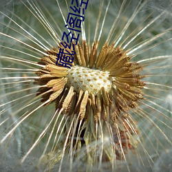 藏經閣經典收藏