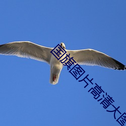 国旗图片(片)高清(清)大(大)图