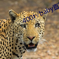 400t∨baby直播软件