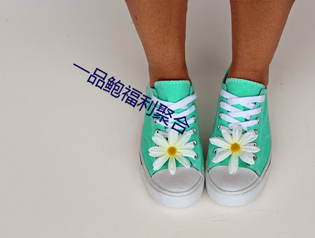 一品鲍福利聚合 （叶公好龙）