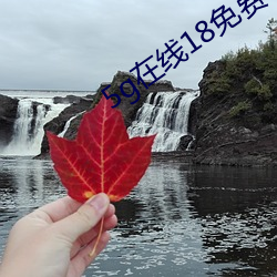 5g在線18免費