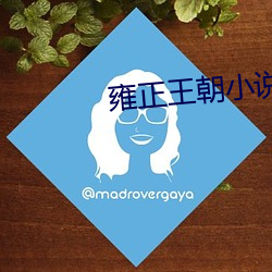 雍(雍)正王朝小说