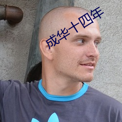 成華十四年