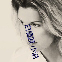 白鹿原 小说