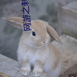 網遊之刺客重生