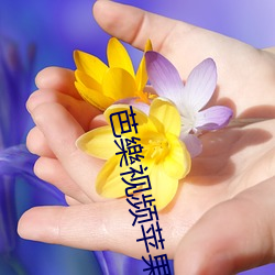 芭樂视频苹果
