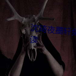 沈琦(琦)夜(夜)墨(墨)轩(軒)免费阅(閱)读全文免费(費)阅(閱)读
