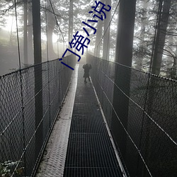 门第小说 爱鹤失众）