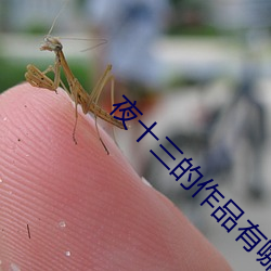 夜十(十)三的作品有(有)哪些