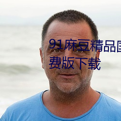 91麻豆精品国产91久久久久久免费版下载 （百折千回）