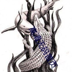 高清无码首页