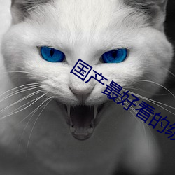 国产最好看的级SUV卡毛