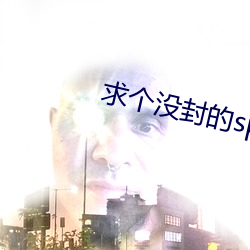 求個沒封的sp網站