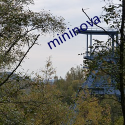 mininova