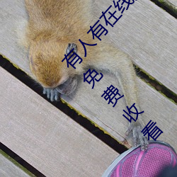 有(yǒu)人有在线观看(kàn)的片吗WWW:高清视(shì)频(pín)随(suí)意点播(bō)免费收看