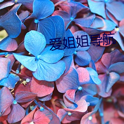 尊龙凯时-人生就是搏!