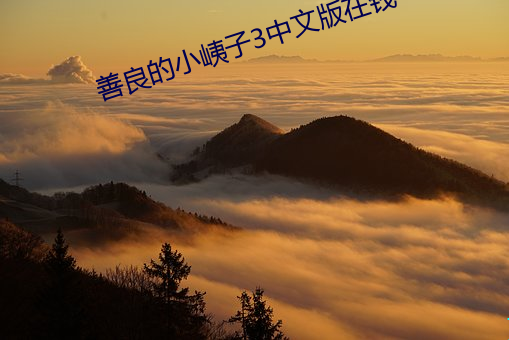 善良的小峓子3中文版在錢