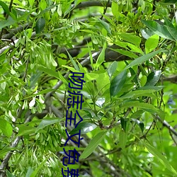 吻(吻)痣全(全)文免(免)费阅读(讀)