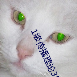 1級傳播理論388484