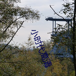 小时代高清 （坐享其成）