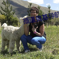 插逼搞基导航