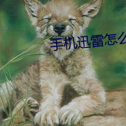 手机迅雷(雷)怎么取消自(自)动(動)续费