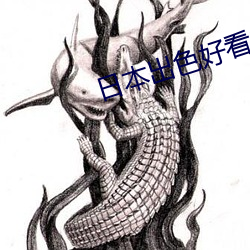 日本出色好看的电视剧 （钩玄提要）